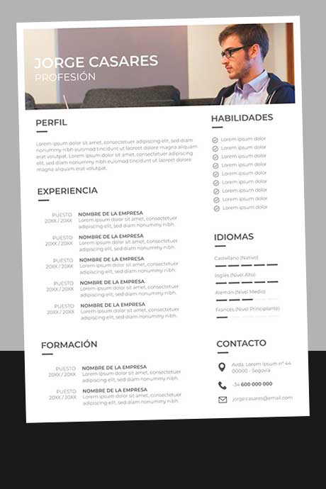 Ejemplo Currículum Vitae Profesional para Descargar Gratis